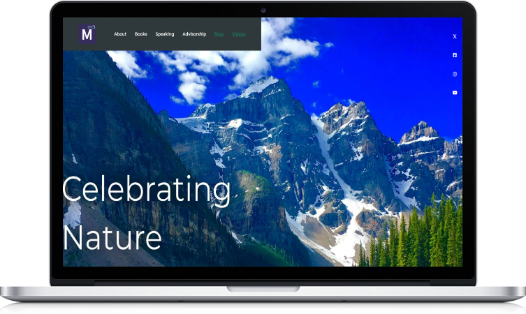 Mindwatts — Author, speaking and advisory site for a MedTech founder.